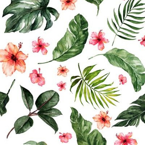 Tropical Hibiscus // White