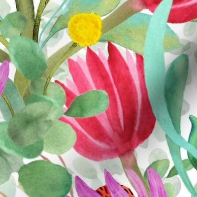 Billy Buttons, Protea, Eucalyptus - Australia  Watercolor