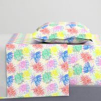 Australian Firewheel Flowers in Mod Rainbow + White