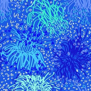 Australian Firewheel Flowers in Tonal Blue