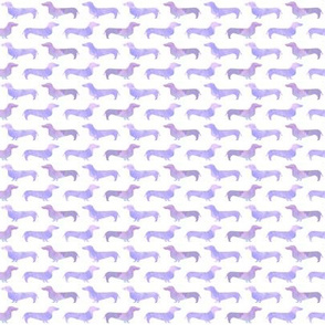 TINY - watercolor purple doxie dog cute dachshund wiener dog purple watercolors 