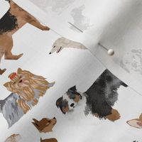 dogs -  dog fabric lots of breeds cute dogs best dog fabric best dogs cute dog breed design dog owners will love this cute dog fabric