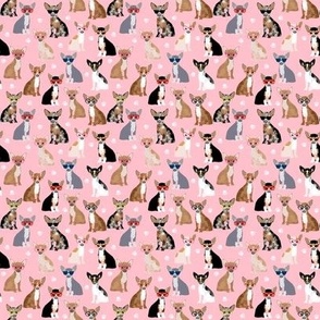 SMALL - chihuahua dog fabric glasses dog fabric dogs design - blossom pink