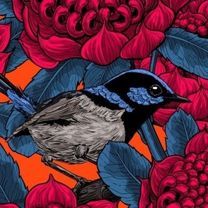 Red waratah and fairy wrens