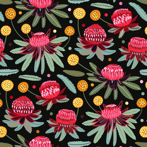 Waratahs and Craspedia (Large Version) 