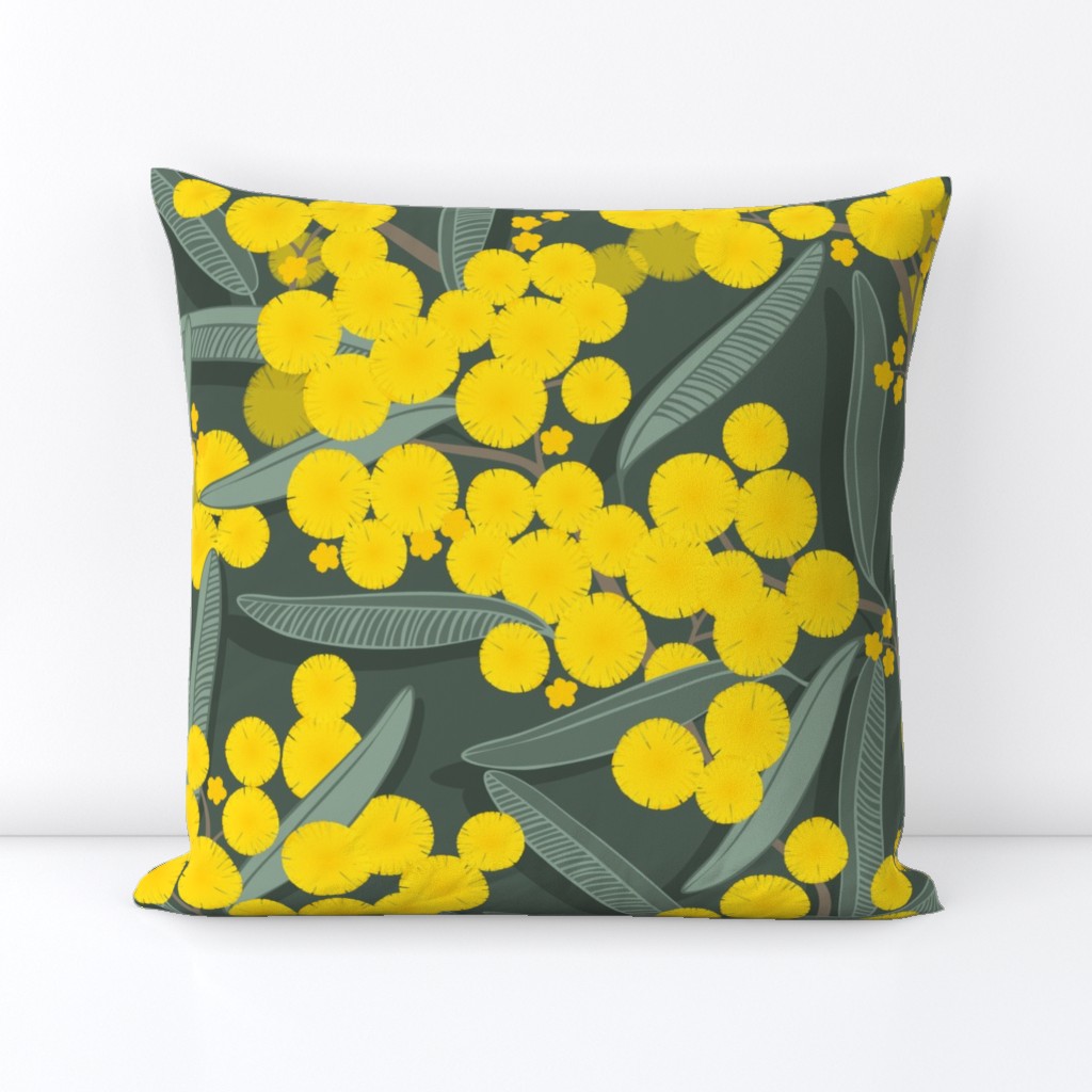 golden wattle on dark green