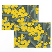 golden wattle on dark green