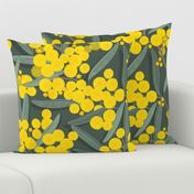 golden wattle on dark green