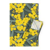 golden wattle on dark green