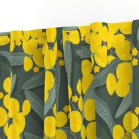 golden wattle on dark green