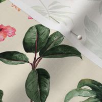Tropical Hibiscus // Janna Cream