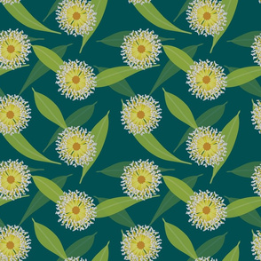 Australian Flora on Teal