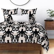 Boston Terrier Dog  for quilt 16x15 inch panel   #14