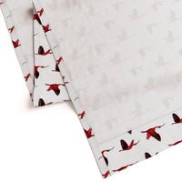 Scarlet Ibis - white