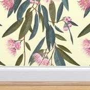 Australian Flora - Pink eucalyptus