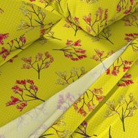 Kangaroo Paws on Safron (bright) - large