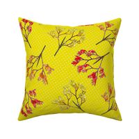 Kangaroo Paws on Safron (bright) - large