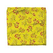 Kangaroo Paws on Safron (bright) - large