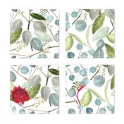 Floral Green Red Watercolor Australian Eucalyptus Leaves Kangaroo Paw Waratah 