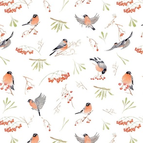 bullfinch and rowan