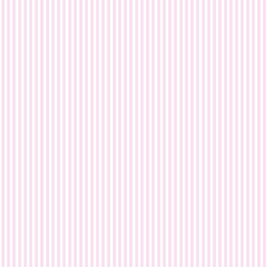 Frangipani (Plumeria) Pink Stripes