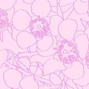 Australian Waxflower Line Floral in Light Pink