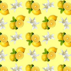 Lemon Fruit and Flowers Pattern