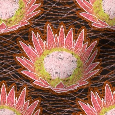 Tribal King Protea (choco) 8"