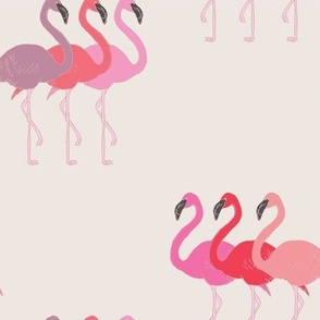 flaming flamingos