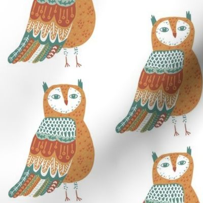 Wise Owl on White