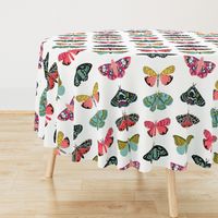 EXTRA LARGE - moths and butterflies cute girly pastel insect butterfly spring garden