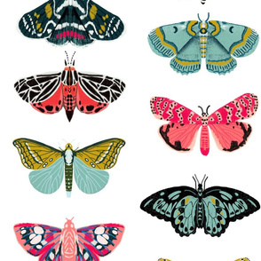 EXTRA LARGE - moths and butterflies cute girly pastel insect butterfly spring garden