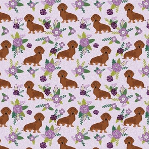SMALL - dachshund pet quilt c red coat doxie dog breed coordinate floral