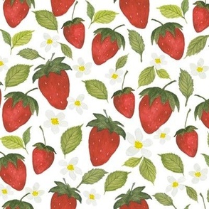 Strawberry Patch