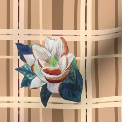 Memento magnolia retro