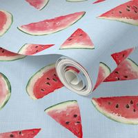 Juicy Watermelon // Tropical Blue Linen