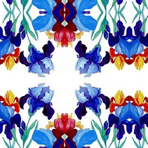Iris pattern