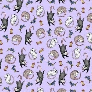 Possums Fabric Wallpaper and Home Decor  Spoonflower