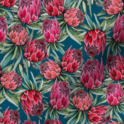 protea flowers on navy