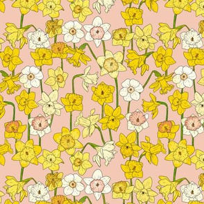 Small Daffodil Illustration on Pink