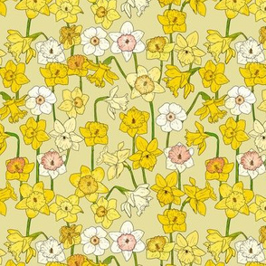 Small Daffodil Illustration on Yellow