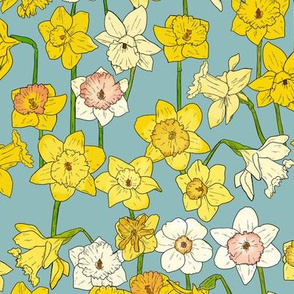 Medium Daffodil Illustration on Blue