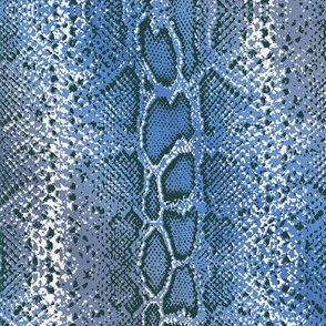 blue snake skin with ombre