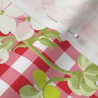 Everafter strawberry gingham