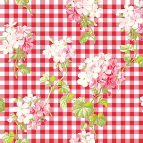 Everafter strawberry gingham