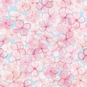 Soft Pink Hydrangeas Sky Blue