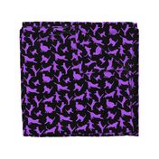 kitties warm-up purple 8x8