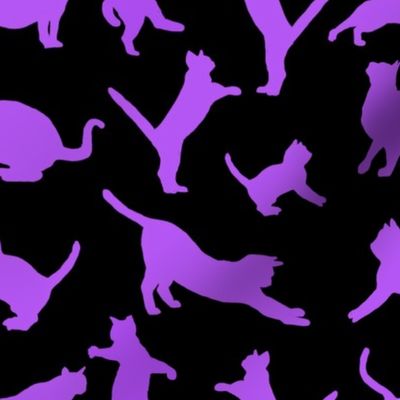 kitties warm-up purple 8x8