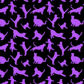 kitties warm-up purple 8x8