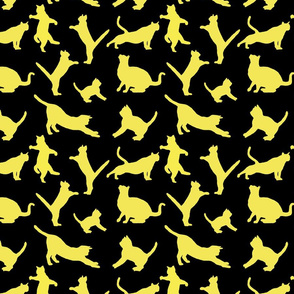 kitties warm-up yellow 8x8